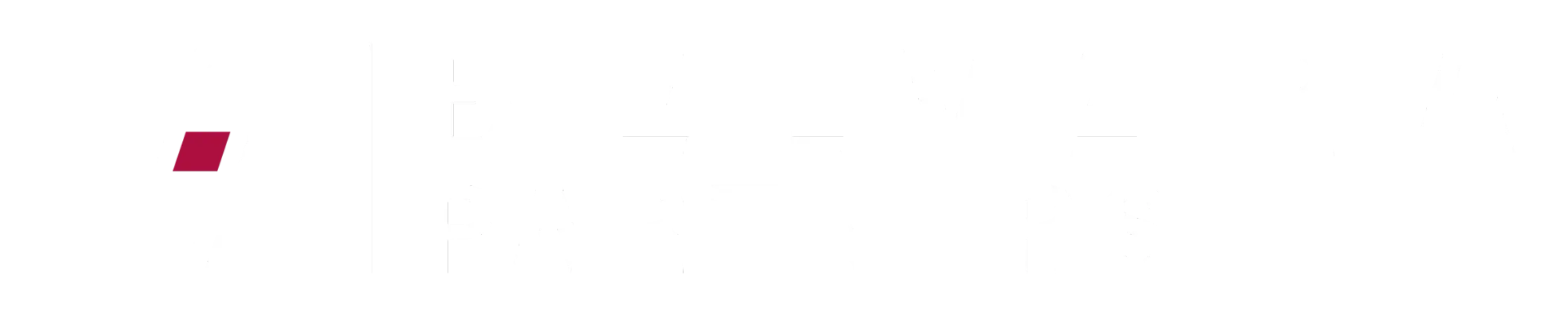 Belvera Partners