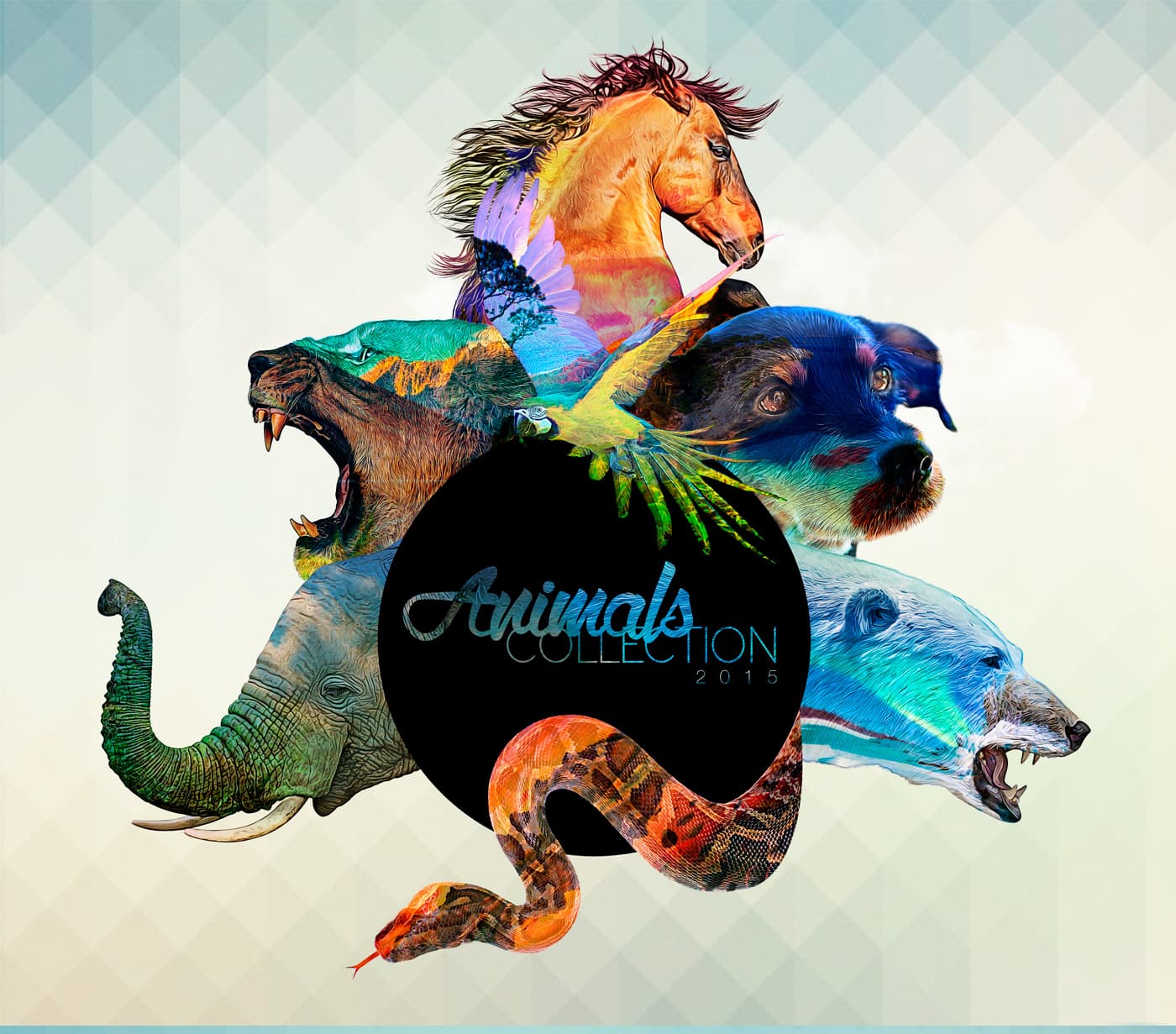 Collage of animal double exposures with the Animals Collection logotype