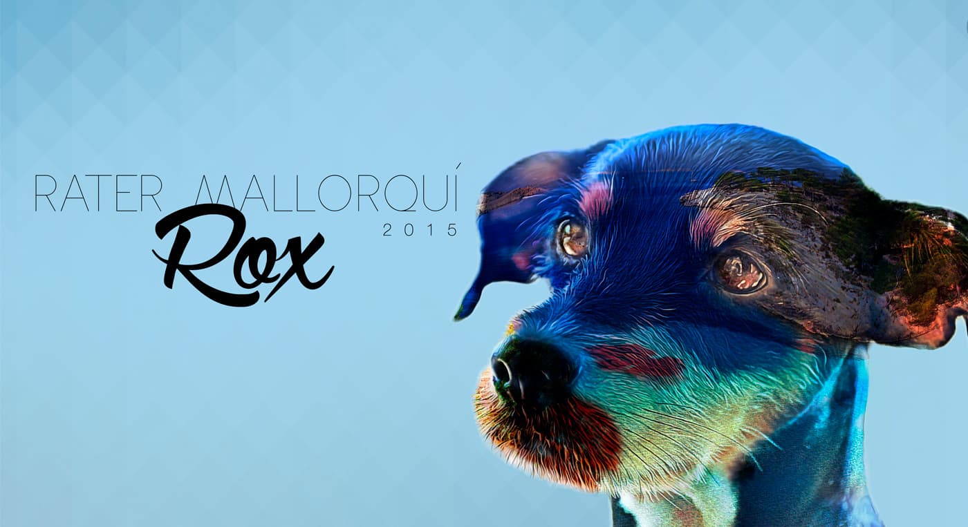 Double exposure of the dog Rox in blue tones with an overlaid landscape