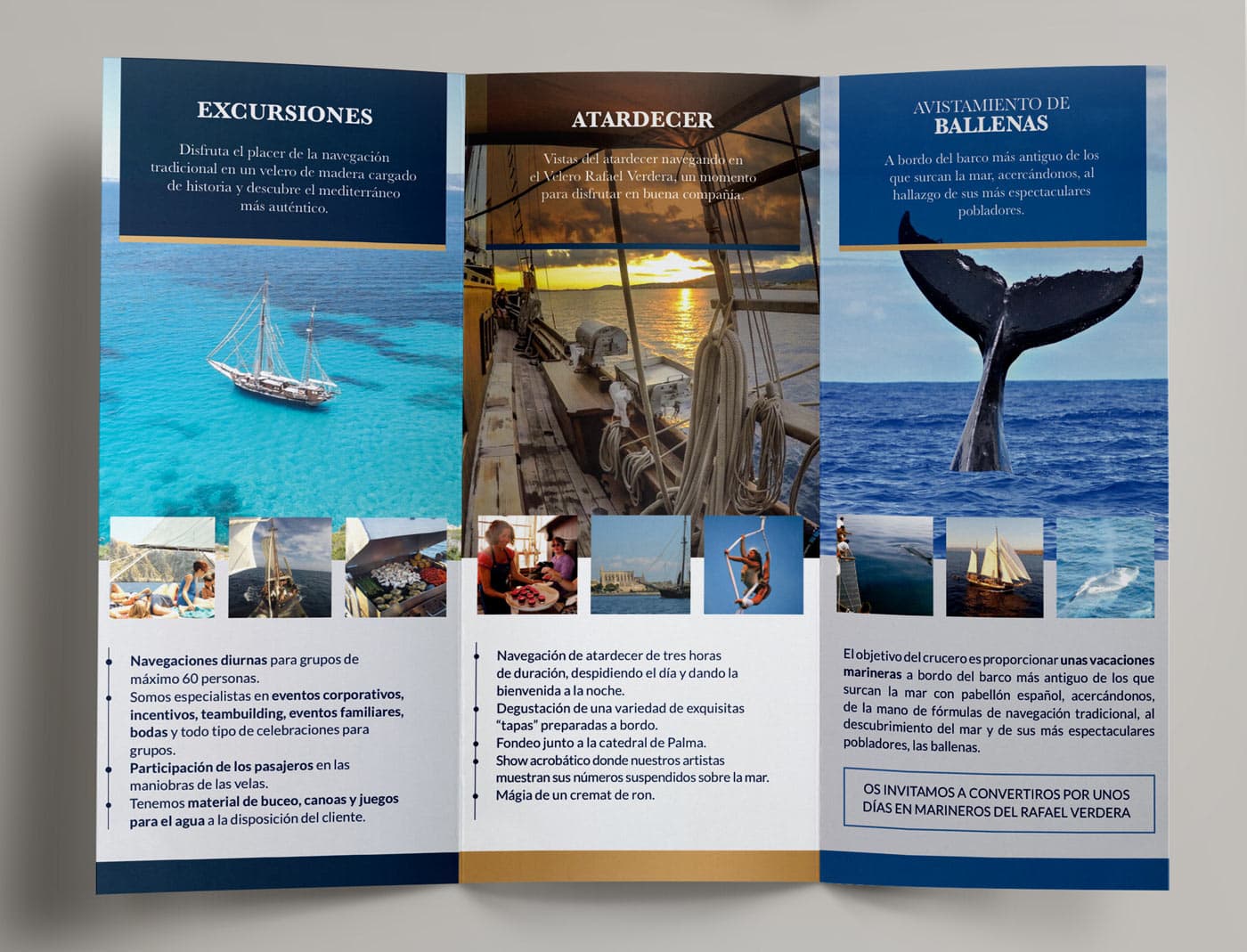 Interior of the trifold with the Excursions, Sunset and Whale watching sections