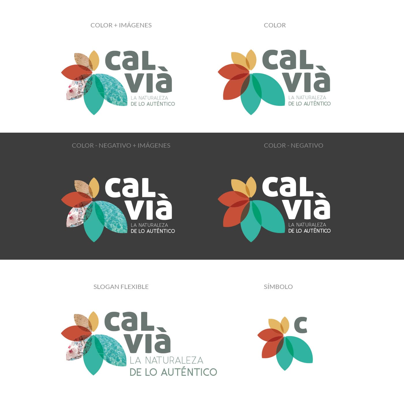 Variants del logotip floral de Calvià en color, negatiu i símbol solt