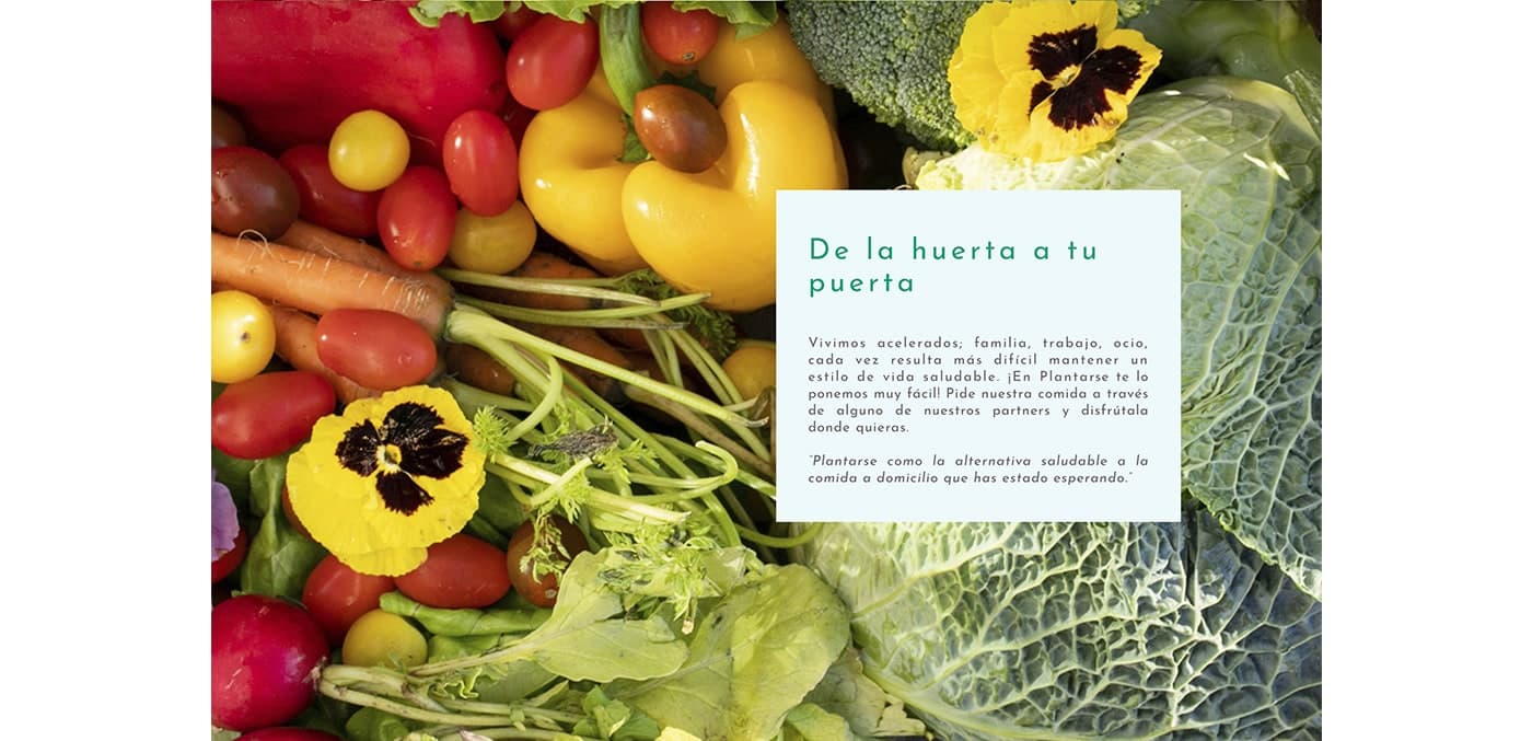 Colourful vegetables with the slogan From the garden to your door