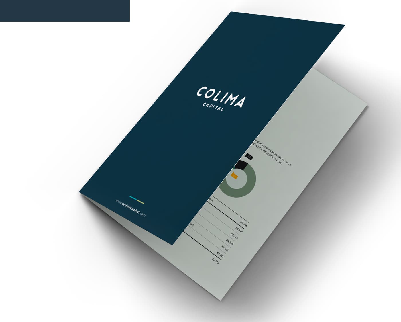 Colima Capital corporate trifold with a circular chart of financial data