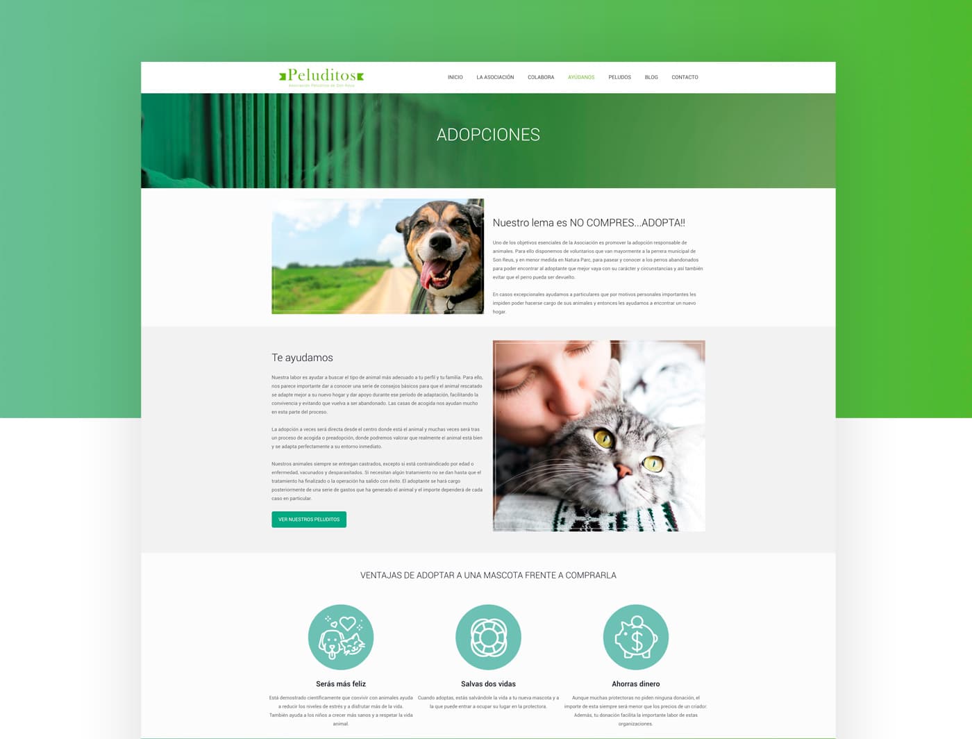 Adoptions page with photographs of a dog and a cat
