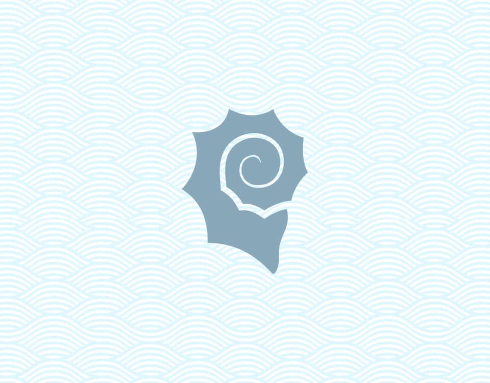 Web Design for Escuela Infantil Caracola