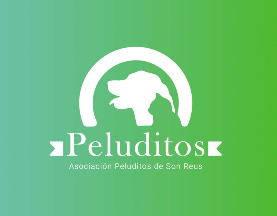 Web Design for Peluditos de Son Reus