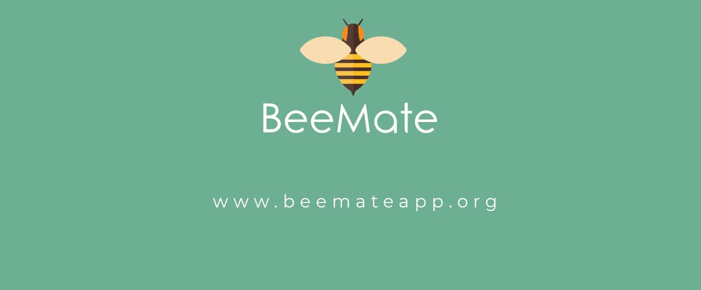 Closing card with the BeeMate logotype and website URL on a green background
