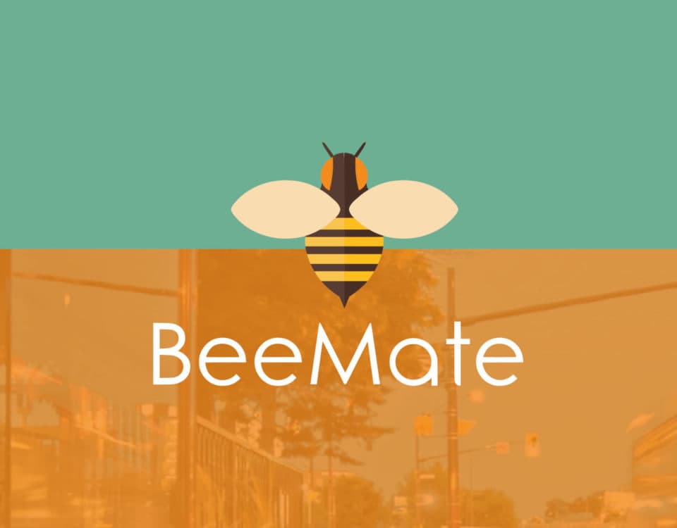 Web Design for BeeMate