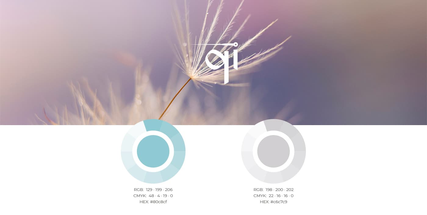 Turquoise and grey colour palette next to a photograph of a dandelion