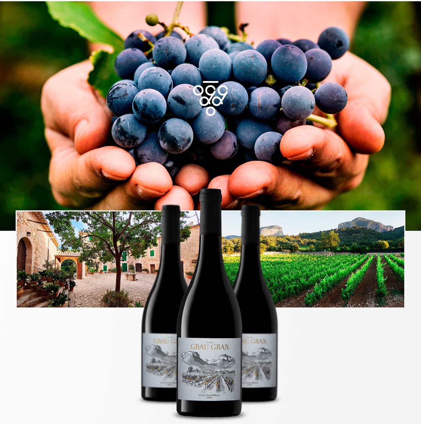 Composition with a grape cluster, the estate's courtyard and Son Grau Gran bottles facing the vineyard