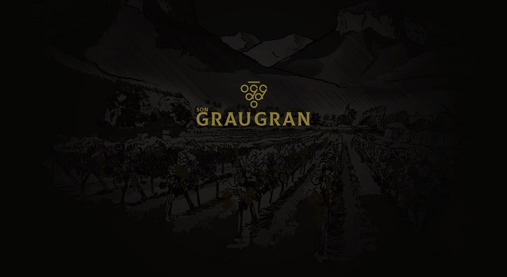 A website as carefully crafted as the wine it presents.