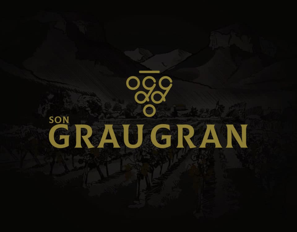 Web Design for Son Grau Gran