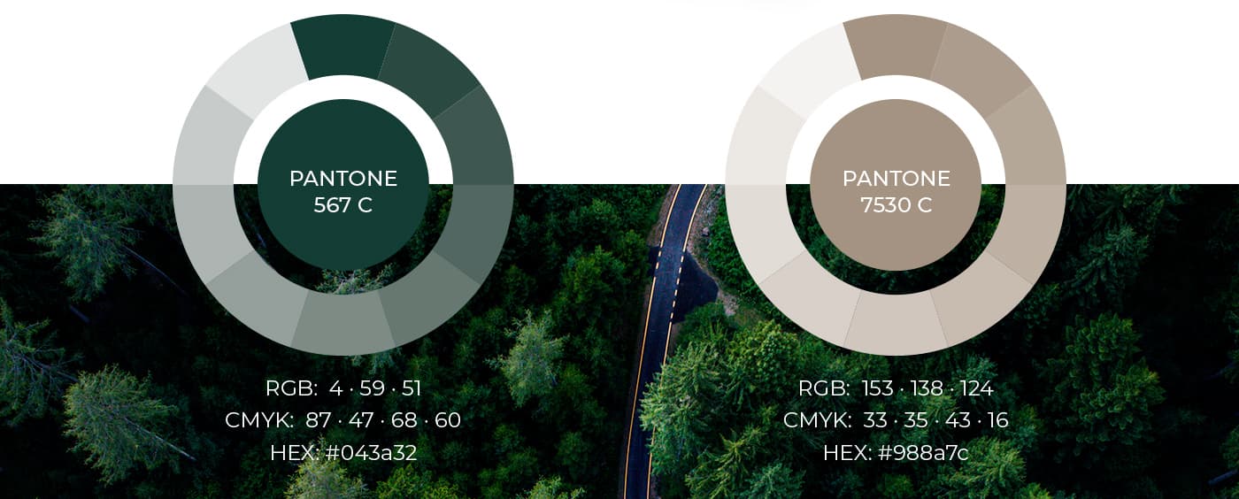 Corporate colour palette in dark green and beige with Pantone codes