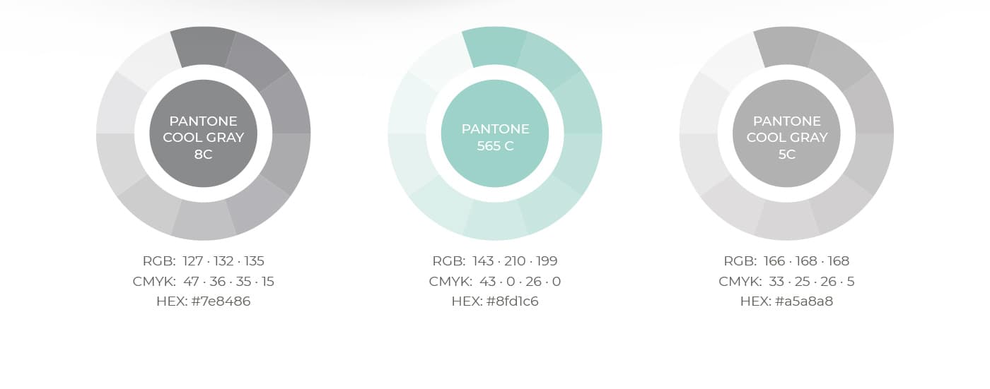 Paleta de colores corporativa en gris y verde menta con códigos Pantone