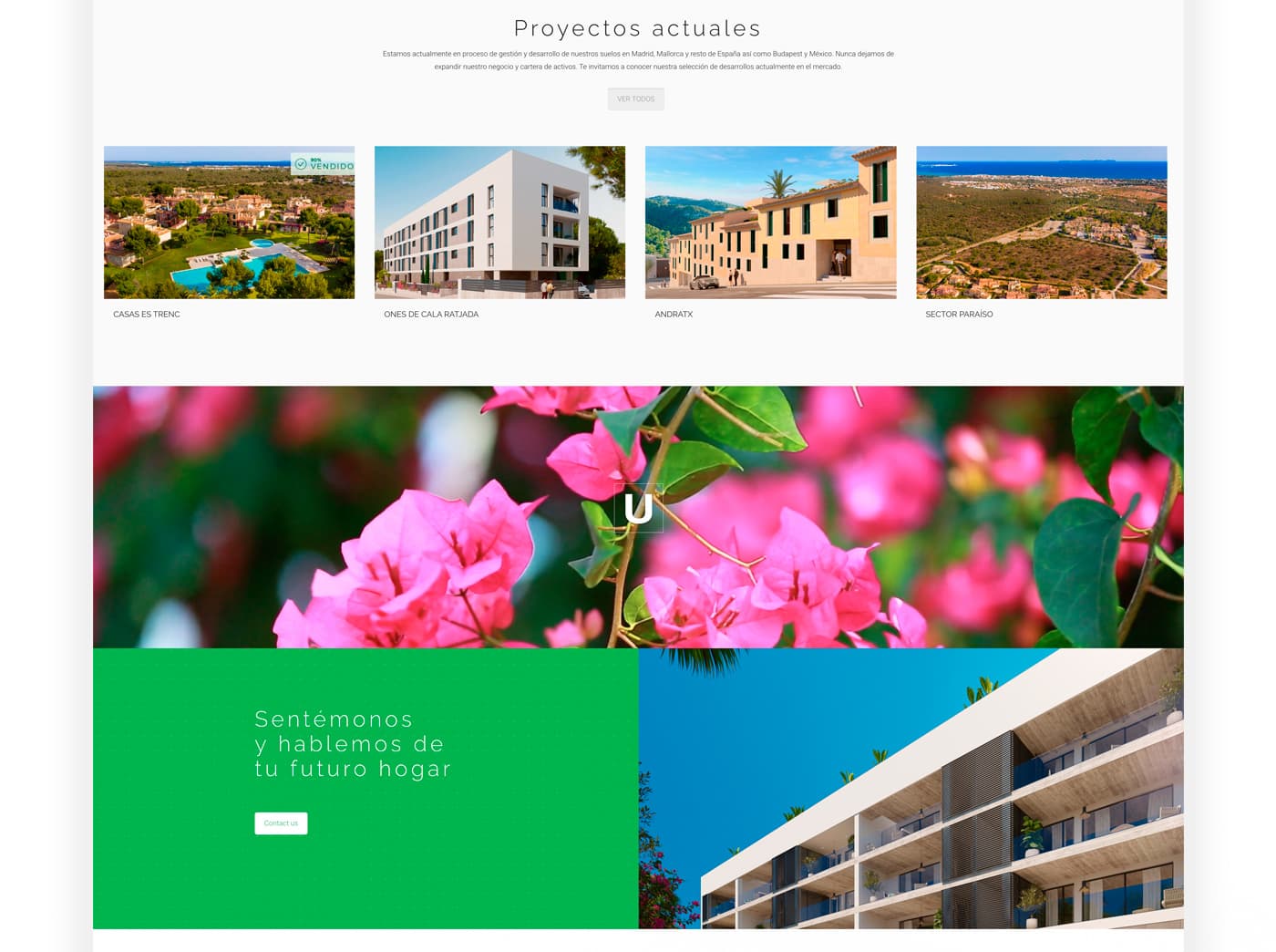 Current projects section on a pink flower background with a green contact call to action