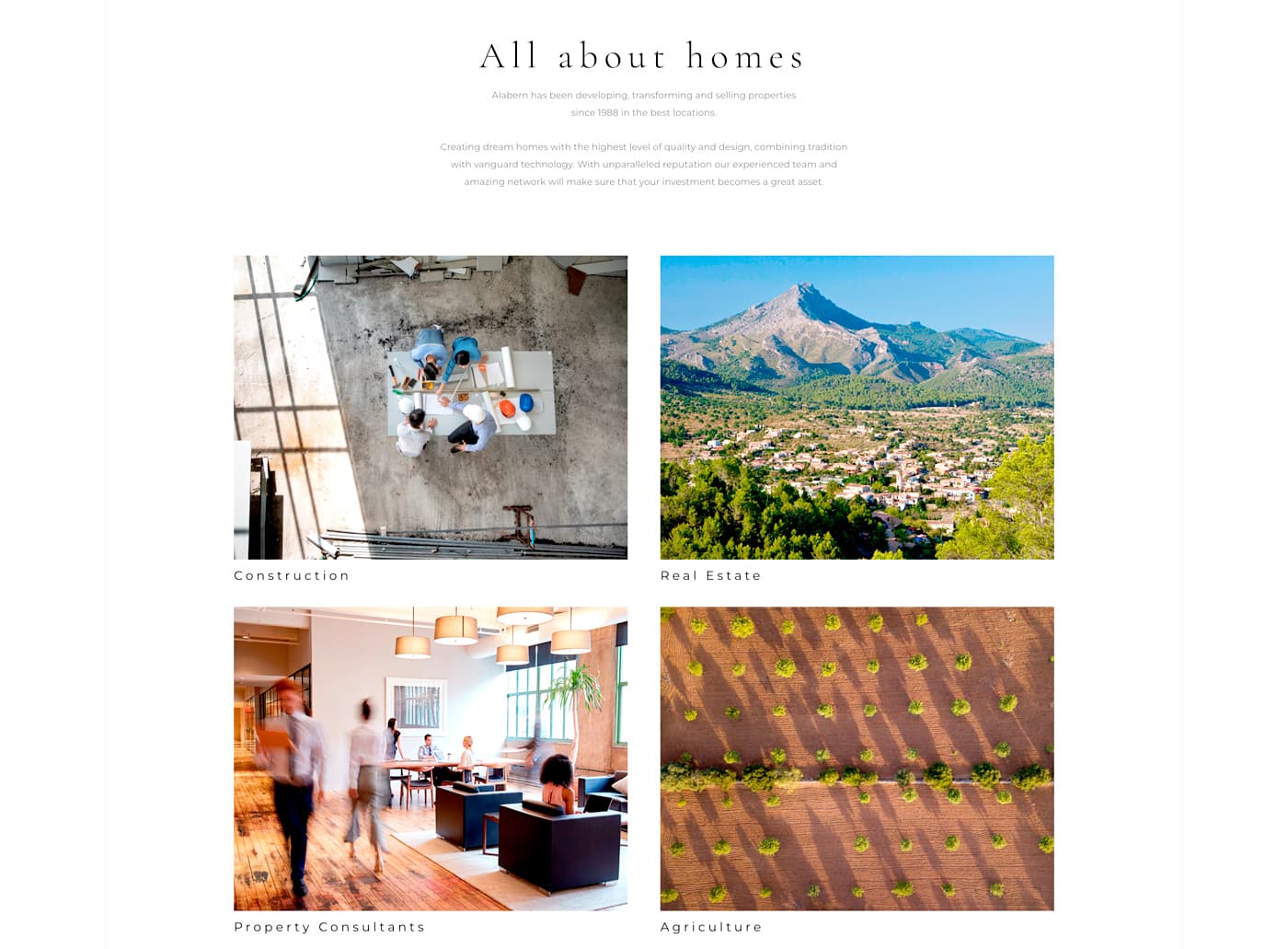 Section with four photographs: construction, real estate, consultancy and agriculture