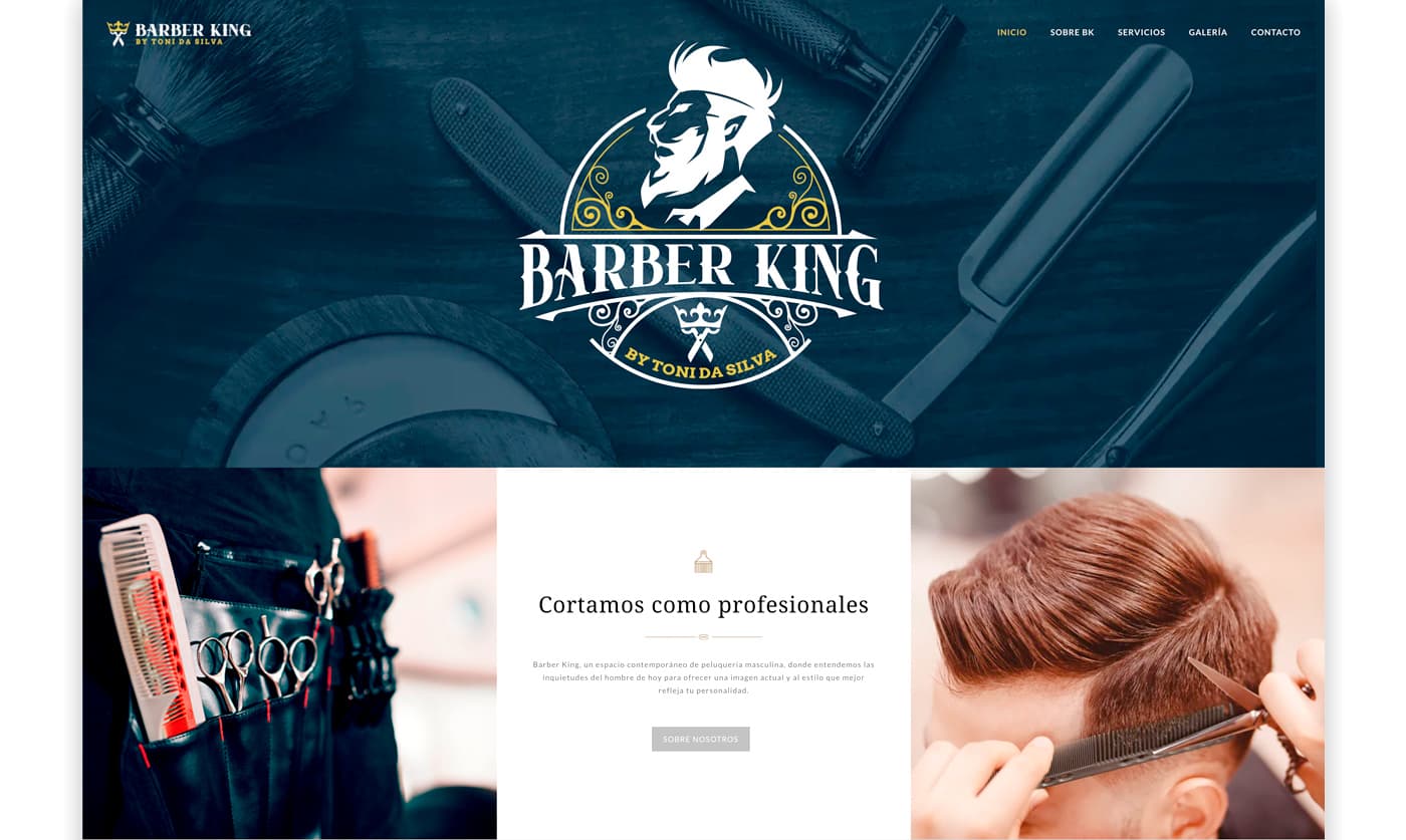 Captura de la home de la web amb el logotip del lleó