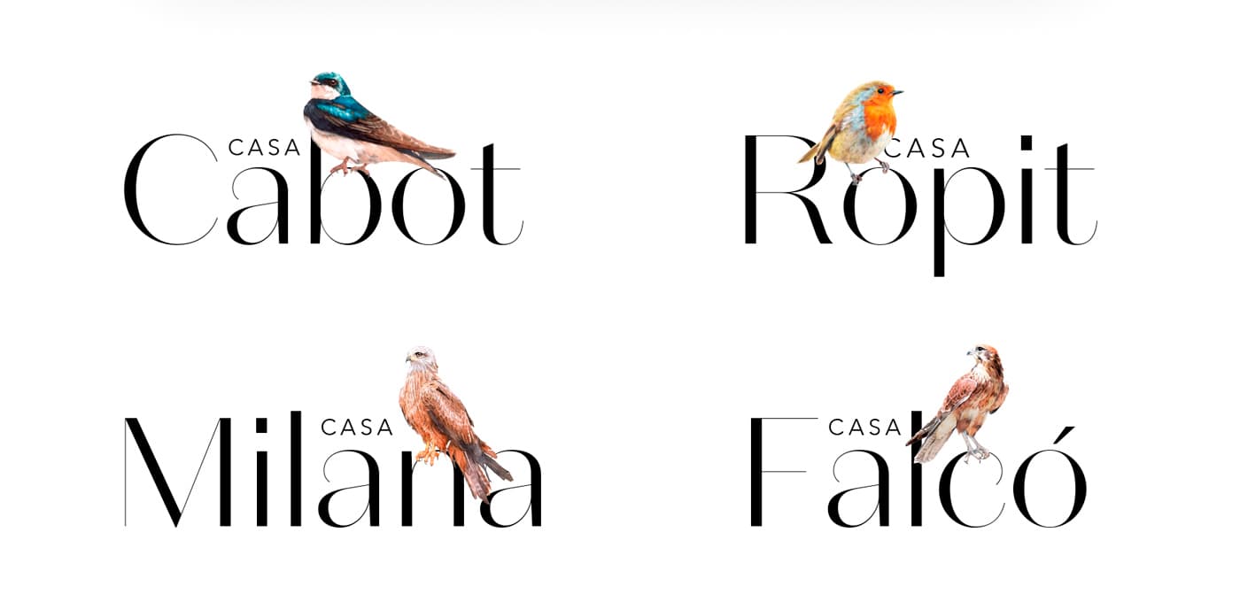 Logos of the four houses, each with an illustration of its bird: swallow, robin, kite and falcon