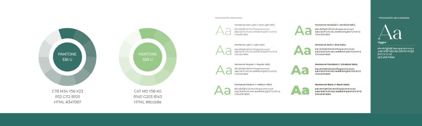Pantone palette in dark green and light green next to the Montserrat typeface