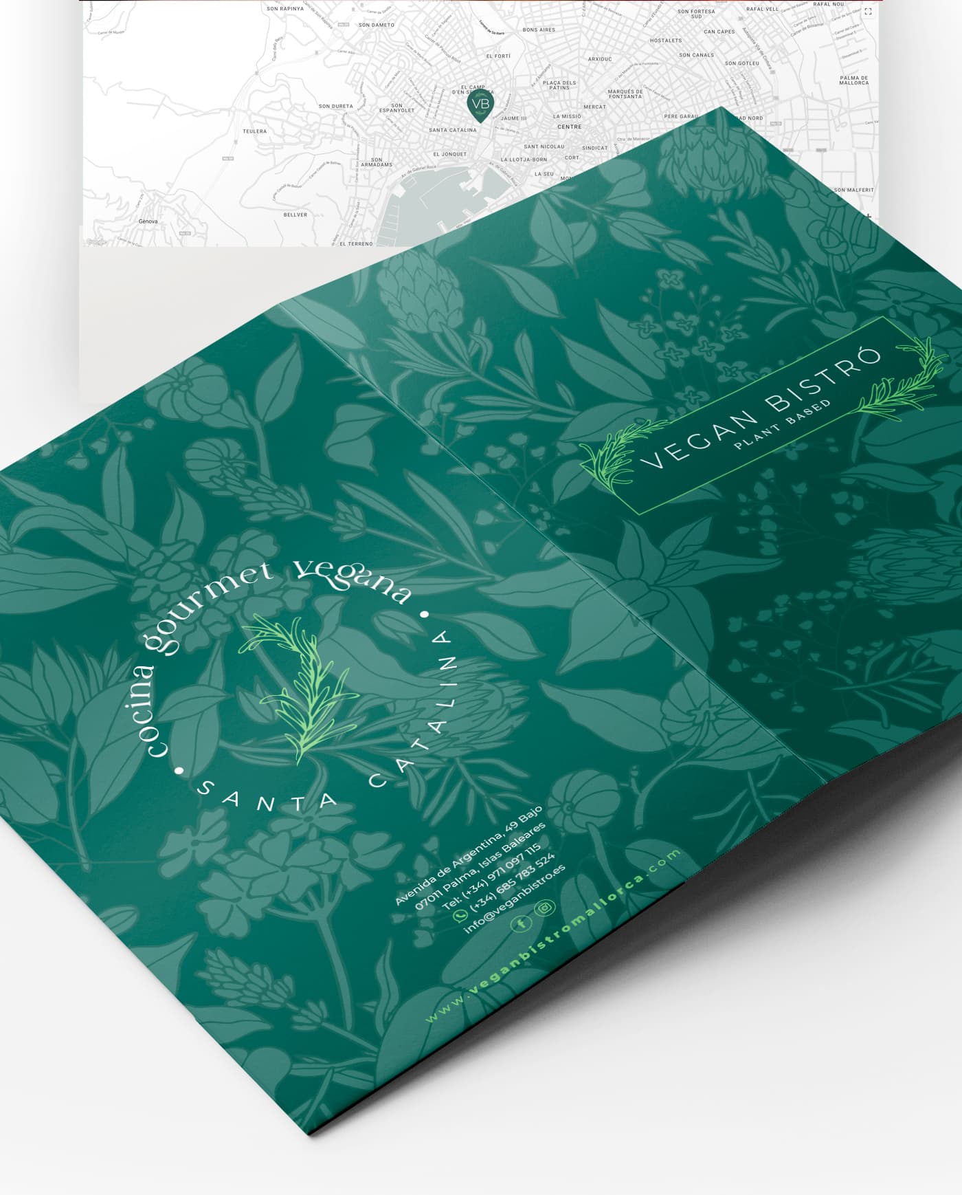 Mockup of an unfolded trifold with botanical illustrations, a map and contact details