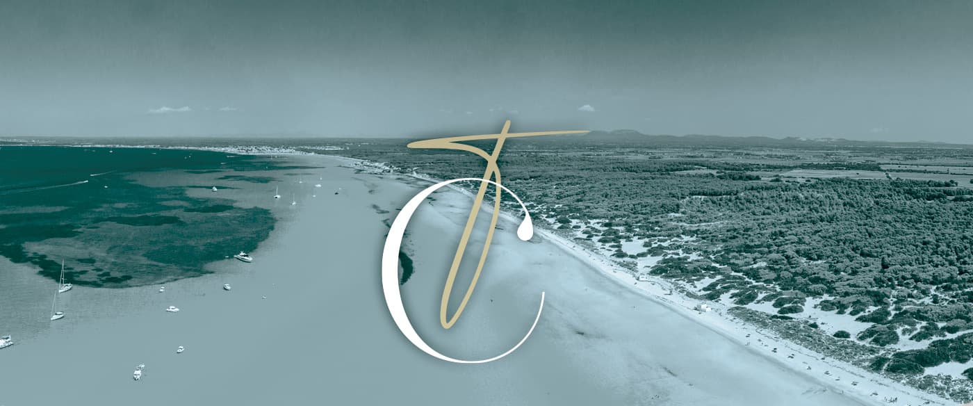 Símbolo del logotipo superpuesto a una vista aérea de la costa de Es Trenc
