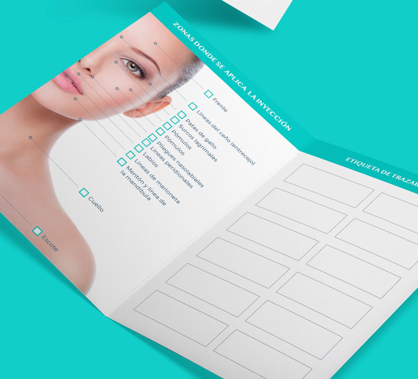 Díptic desplegable amb diagrama facial de zones de tractament