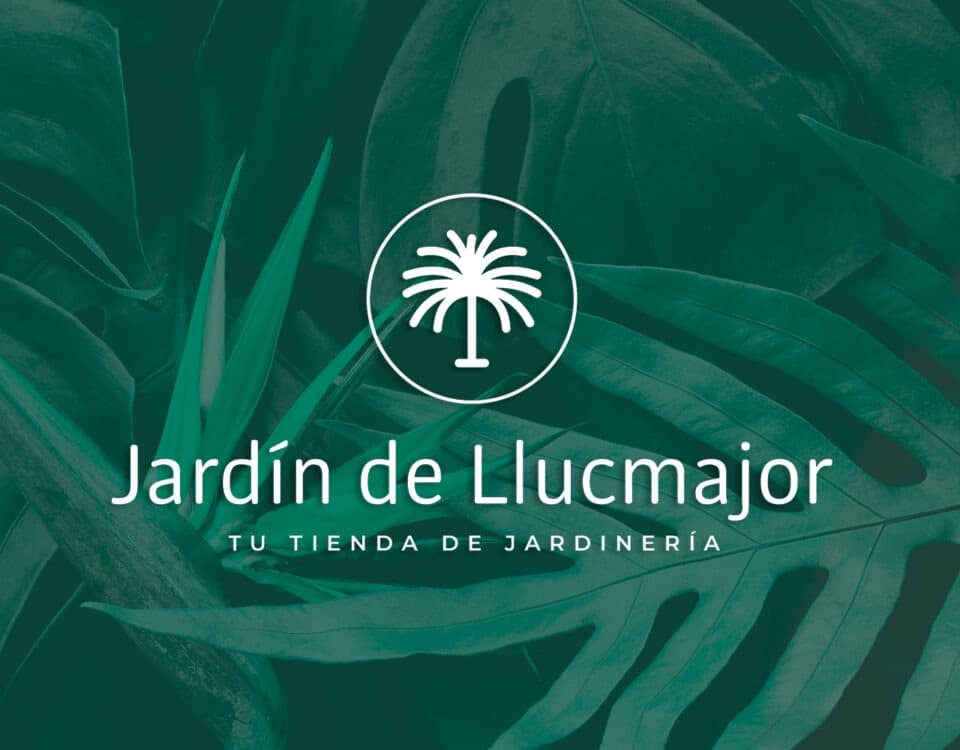 Web Design for Jardín de Llucmajor