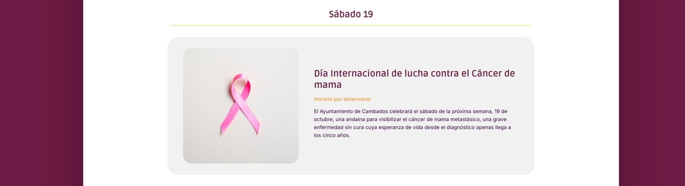 Secció sobre el Dia Internacional de lluita contra el càncer de mama