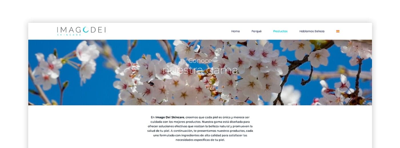 Website header with a photograph of cherry blossoms