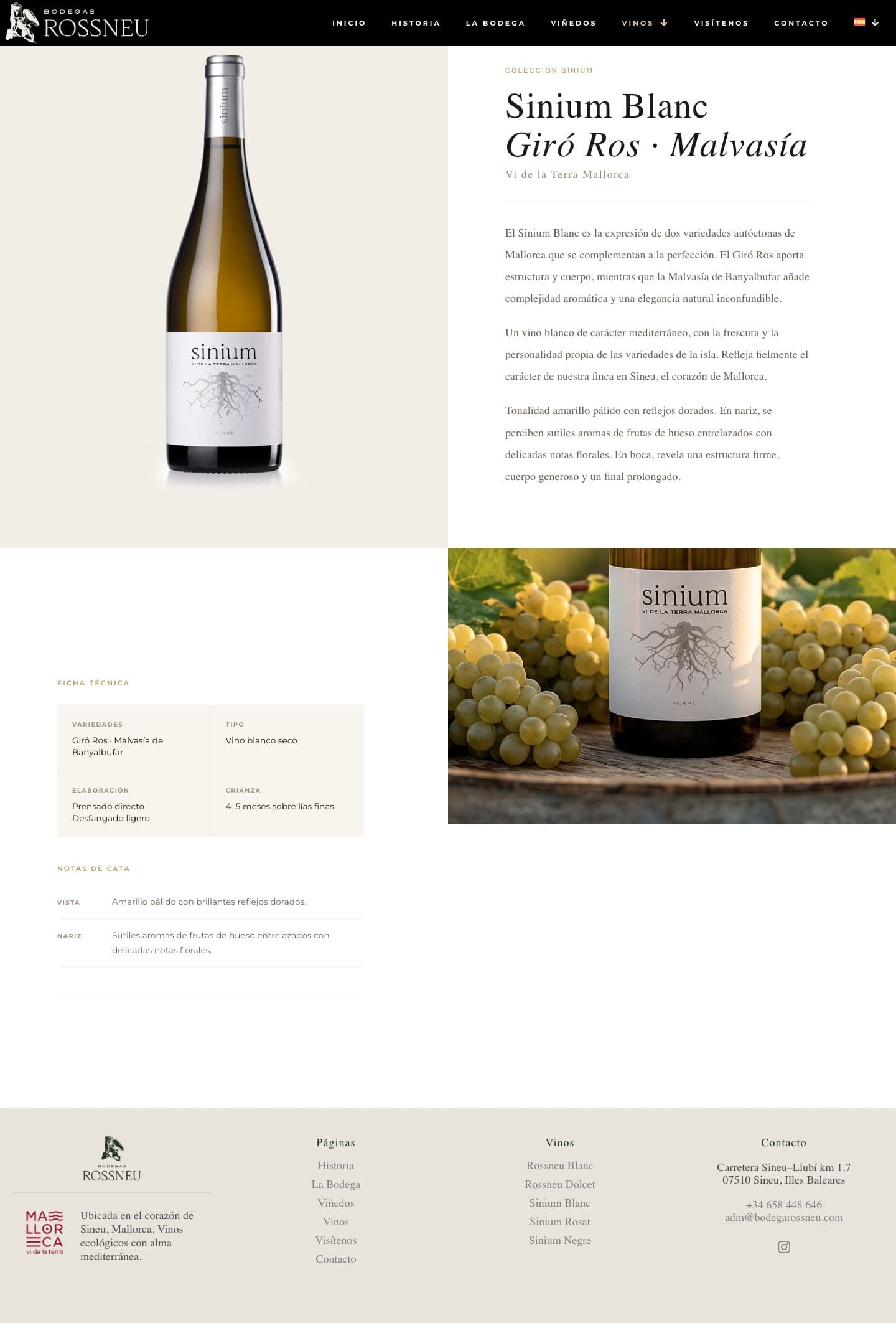 Fitxa de producte del Sinium Blanc amb raïms blancs al costat de l'ampolla