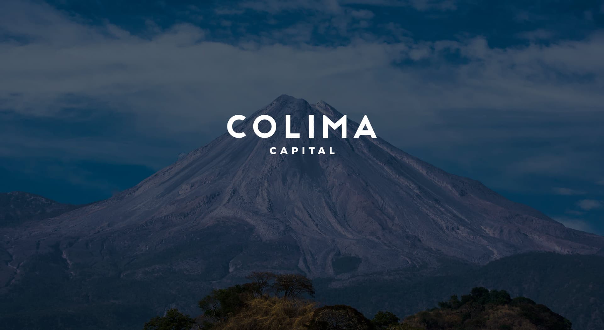 Branding and website for a platform that invests in creating value.